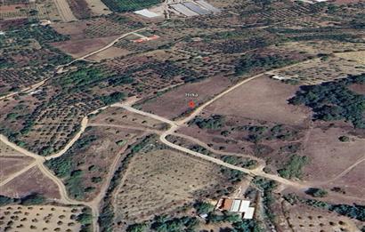 Sakarya Geyve'de Yatırımlık Satılık Tarla