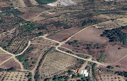 Investment Land for Sale in Sakarya Geyve