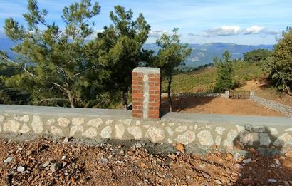 Havran Kocadağda 1 dönüm tarlada 