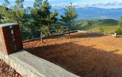 Havran Kocadağda 1 dönüm tarlada 