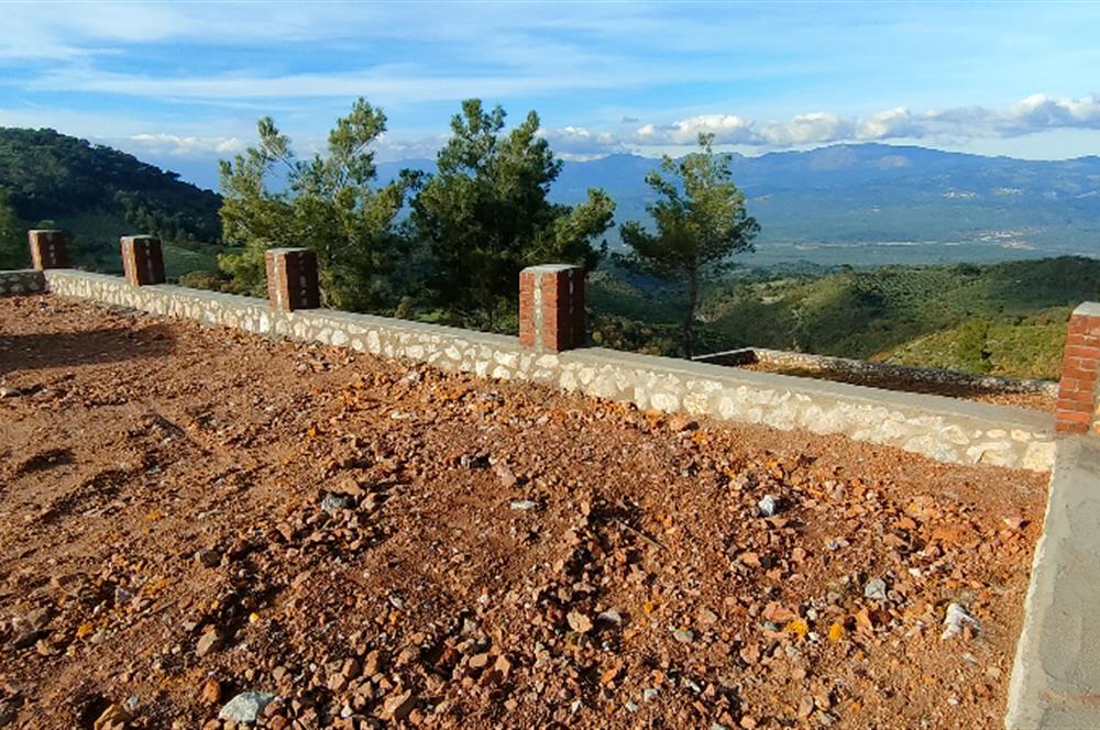 Havran Kocadağda 1 dönüm tarlada 