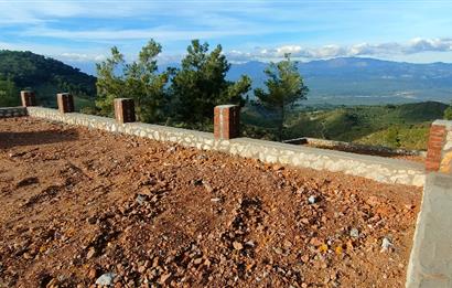 Havran Kocadağda 1 dönüm tarlada 