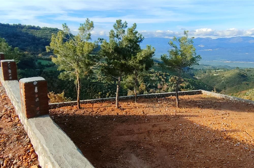 Havran Kocadağda 1 dönüm tarlada 