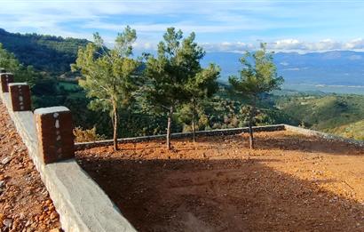 Havran Kocadağda 1 dönüm tarlada 