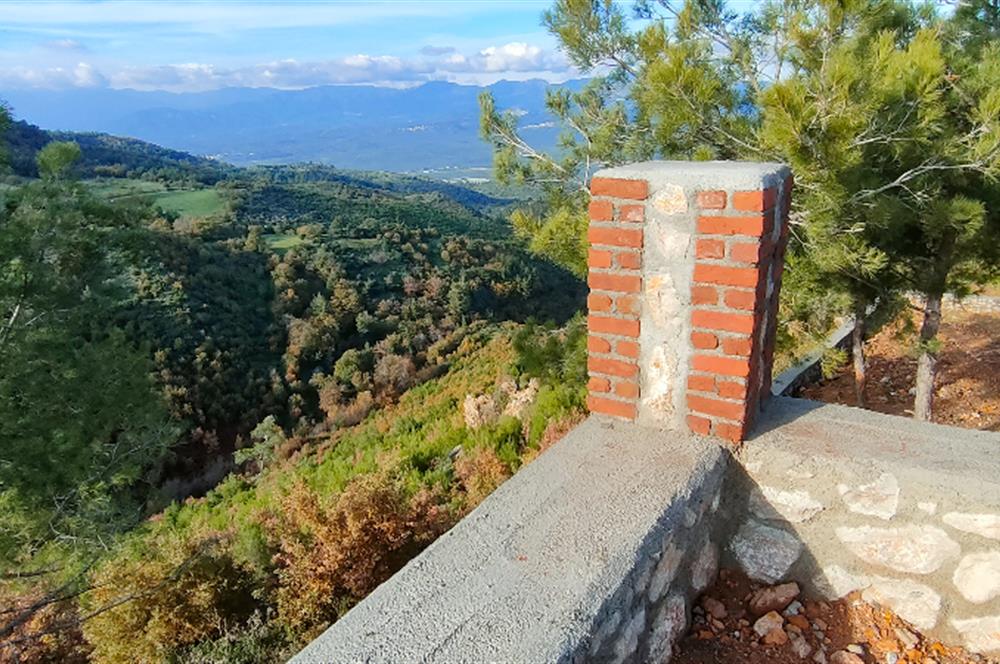 Havran Kocadağda 1 dönüm tarlada 