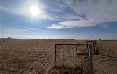 GÖLBAŞI HACIMURATLI'DA 2000M2 ARAZİ