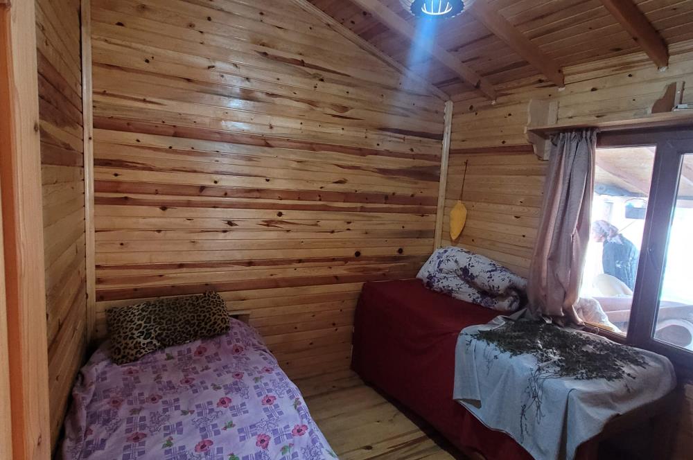 C21 BAL'DAN HAVRAN FAZLICA'DA SATILIK AHŞAP EV ve 8 DÖNÜMTARLASI