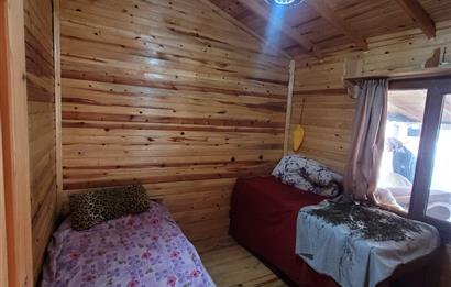 C21 BAL'DAN HAVRAN FAZLICA'DA SATILIK AHŞAP EV ve 8 DÖNÜMTARLASI