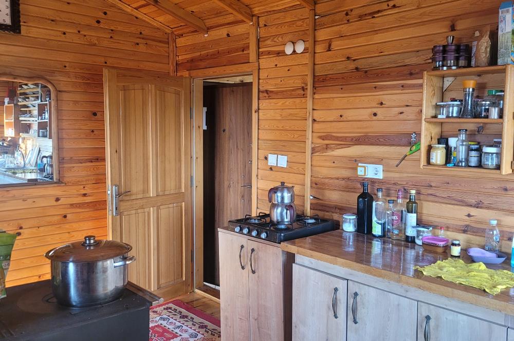 C21 BAL'DAN HAVRAN FAZLICA'DA SATILIK AHŞAP EV ve 8 DÖNÜMTARLASI