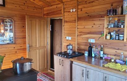 C21 BAL'DAN HAVRAN FAZLICA'DA SATILIK AHŞAP EV ve 8 DÖNÜMTARLASI