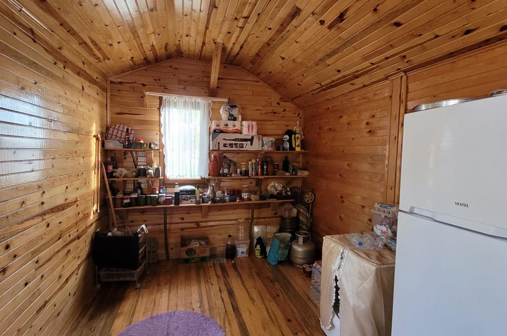 C21 BAL'DAN HAVRAN FAZLICA'DA SATILIK AHŞAP EV ve 8 DÖNÜMTARLASI