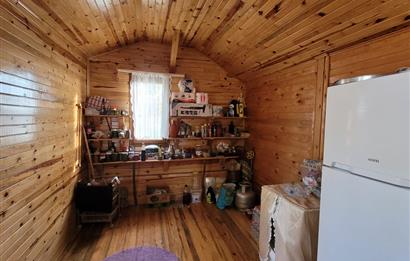 C21 BAL'DAN HAVRAN FAZLICA'DA SATILIK AHŞAP EV ve 8 DÖNÜMTARLASI