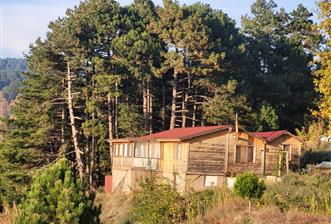 C21 BAL'DAN HAVRAN FAZLICA'DA SATILIK AHŞAP EV ve 8 DÖNÜMTARLASI - 10 - 30467