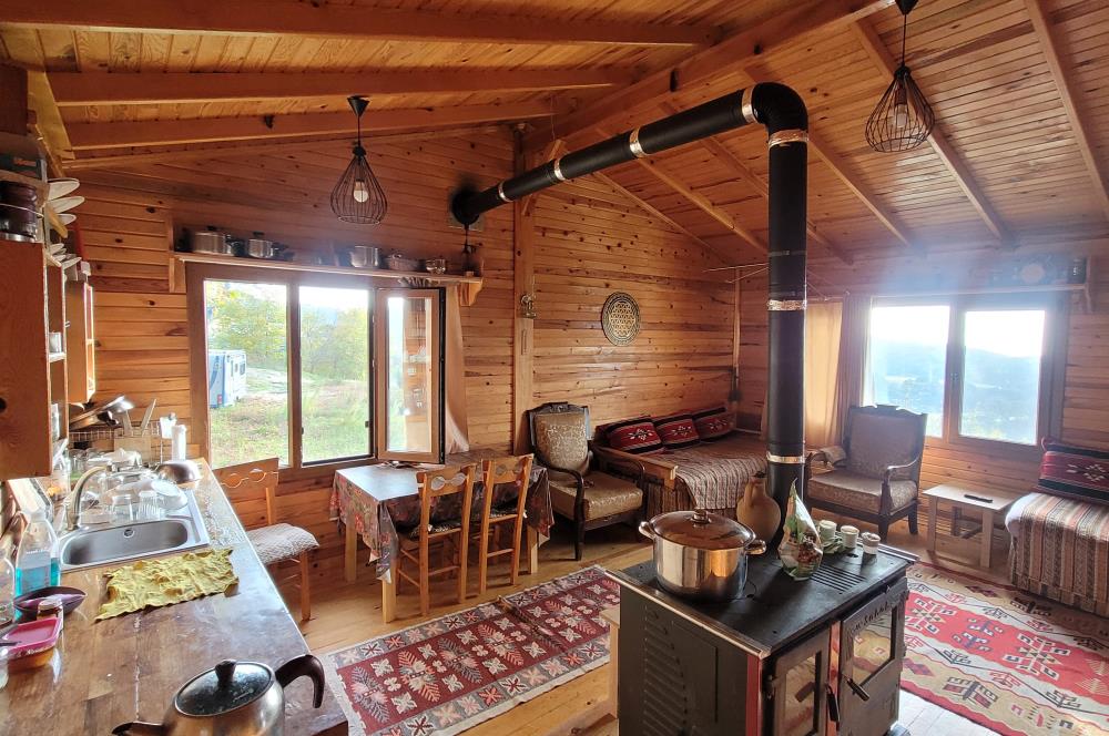 C21 BAL'DAN HAVRAN FAZLICA'DA SATILIK AHŞAP EV ve 8 DÖNÜMTARLASI