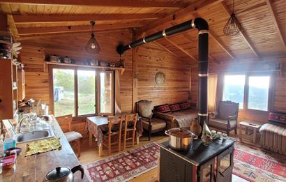 C21 BAL'DAN HAVRAN FAZLICA'DA SATILIK AHŞAP EV ve 8 DÖNÜMTARLASI