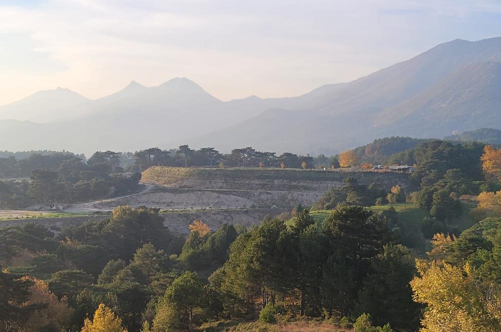 C21 BAL'DAN HAVRAN FAZLICA'DA SATILIK AHŞAP EV ve 8 DÖNÜMTARLASI