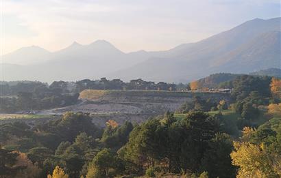 C21 BAL'DAN HAVRAN FAZLICA'DA SATILIK AHŞAP EV ve 8 DÖNÜMTARLASI