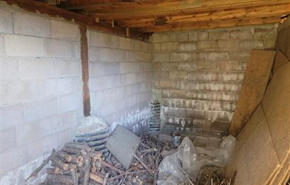 C21 BAL'DAN HAVRAN FAZLICA'DA SATILIK AHŞAP EV ve 8 DÖNÜMTARLASI