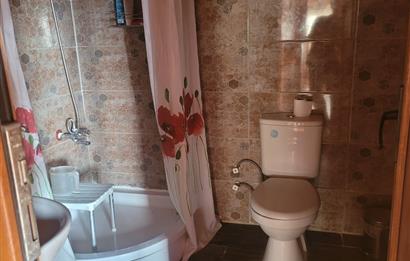 C21 BAL'DAN HAVRAN FAZLICA'DA SATILIK AHŞAP EV ve 8 DÖNÜMTARLASI