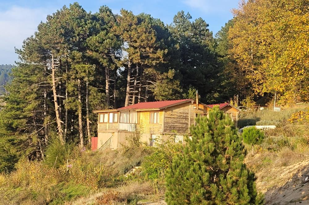 C21 BAL'DAN HAVRAN FAZLICA'DA SATILIK AHŞAP EV ve 8 DÖNÜMTARLASI