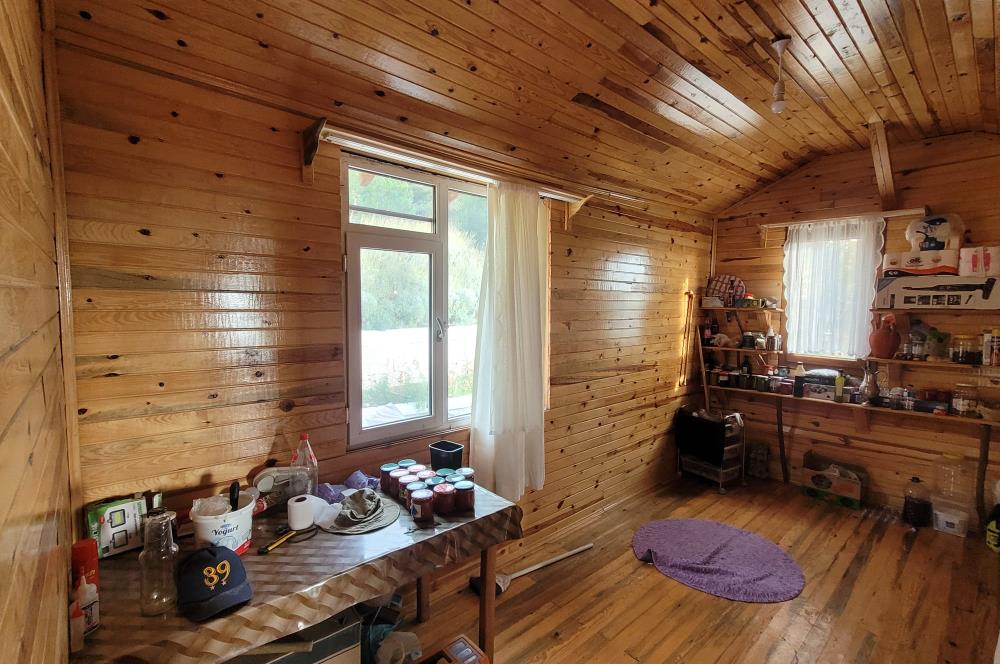 C21 BAL'DAN HAVRAN FAZLICA'DA SATILIK AHŞAP EV ve 8 DÖNÜMTARLASI