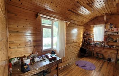 C21 BAL'DAN HAVRAN FAZLICA'DA SATILIK AHŞAP EV ve 8 DÖNÜMTARLASI