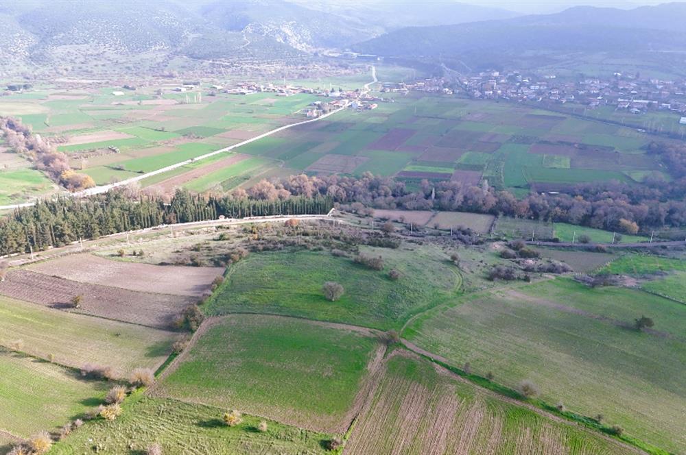 C21 WİNNER KEPSUT NUSRET 6.745m² SATILIK TARLA