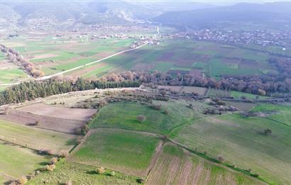 C21 WİNNER KEPSUT NUSRET 6.745m² SATILIK TARLA