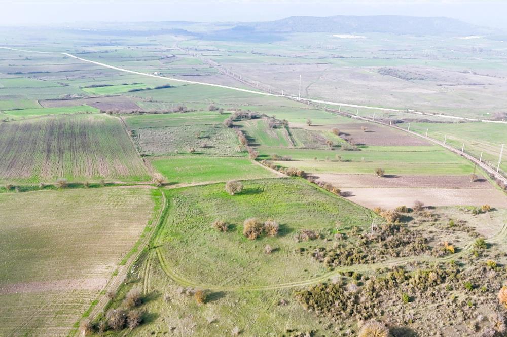 C21 WİNNER KEPSUT NUSRET 6.745m² SATILIK TARLA