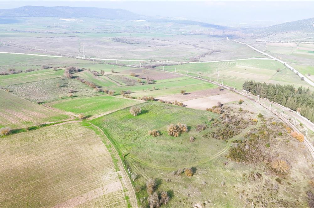 C21 WİNNER KEPSUT NUSRET 6.745m² SATILIK TARLA