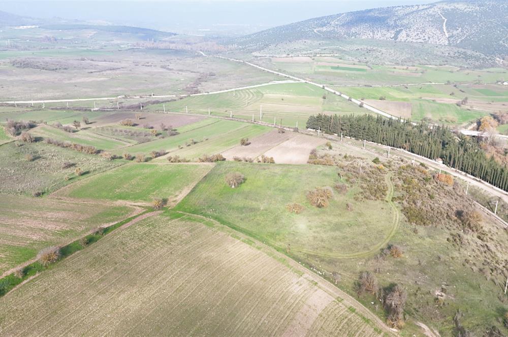 C21 WİNNER KEPSUT NUSRET 6.745m² SATILIK TARLA