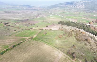 C21 WİNNER KEPSUT NUSRET 6.745m² SATILIK TARLA