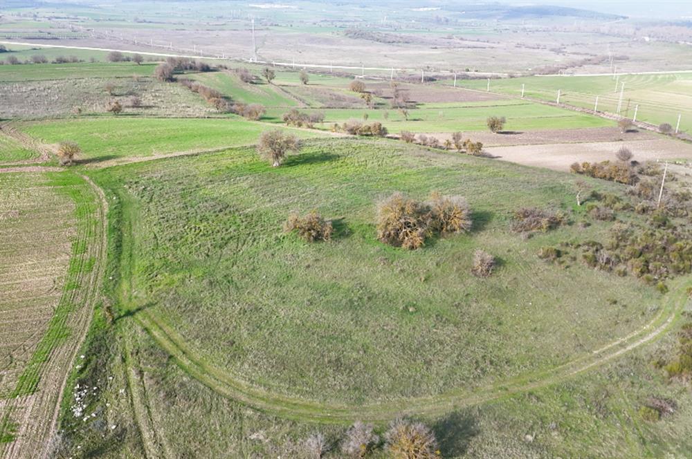 C21 WİNNER KEPSUT NUSRET 6.745m² SATILIK TARLA