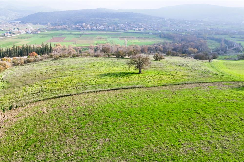 C21 WİNNER KEPSUT NUSRET 6.745m² SATILIK TARLA