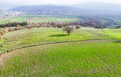 C21 WİNNER KEPSUT NUSRET 6.745m² SATILIK TARLA