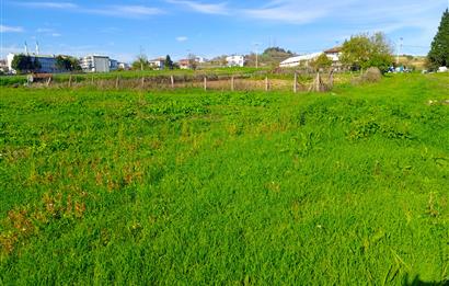 Şile satılık arsa