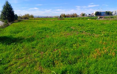 Şile satılık arsa