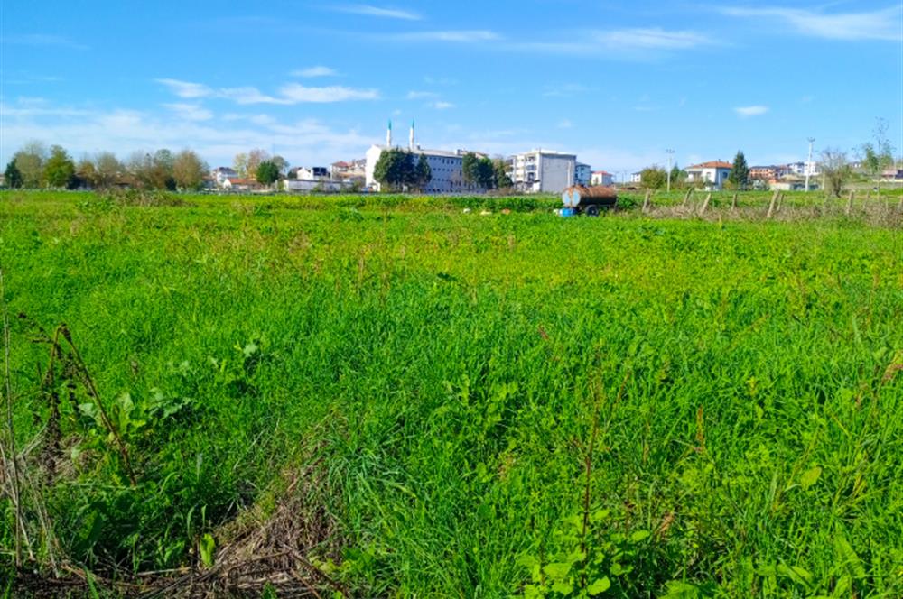 Şile satılık arsa