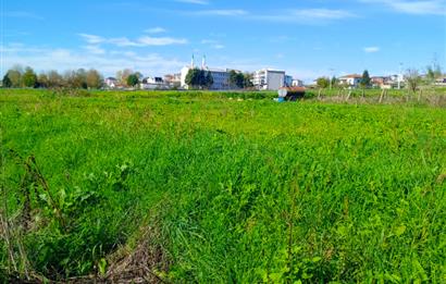 Şile satılık arsa