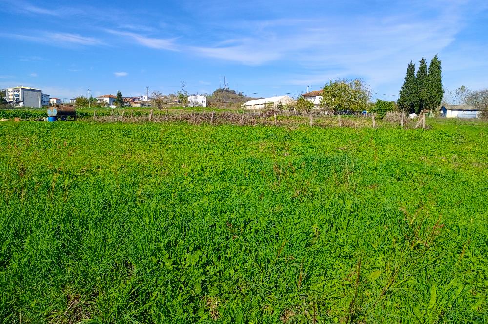 Şile satılık arsa