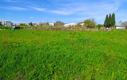 Şile satılık arsa