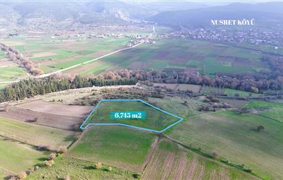 C21 WİNNER KEPSUT NUSRET 6.745m² SATILIK TARLA