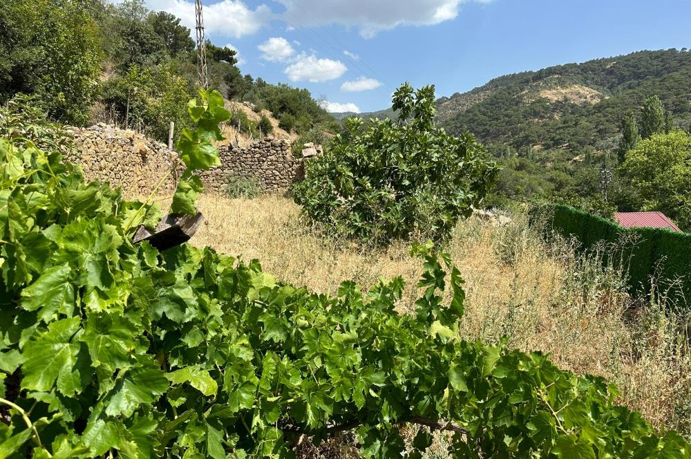 Balıkesir Burhaniye'de Projesi Hazır Satılık Arsa