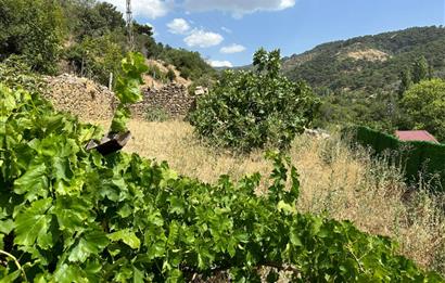 Balıkesir Burhaniye'de Projesi Hazır Satılık Arsa