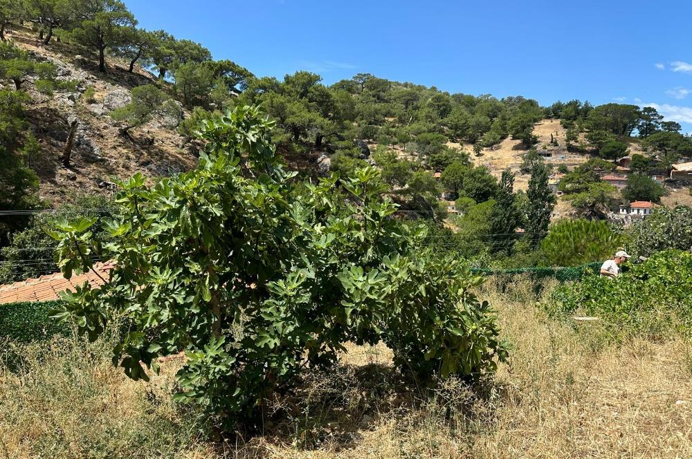 Balıkesir Burhaniye'de Projesi Hazır Satılık Arsa