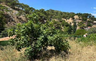 Balıkesir Burhaniye'de Projesi Hazır Satılık Arsa