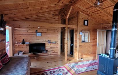 C21 BAL'DAN HAVRAN FAZLICA'DA SATILIK AHŞAP EV ve 8 DÖNÜMTARLASI