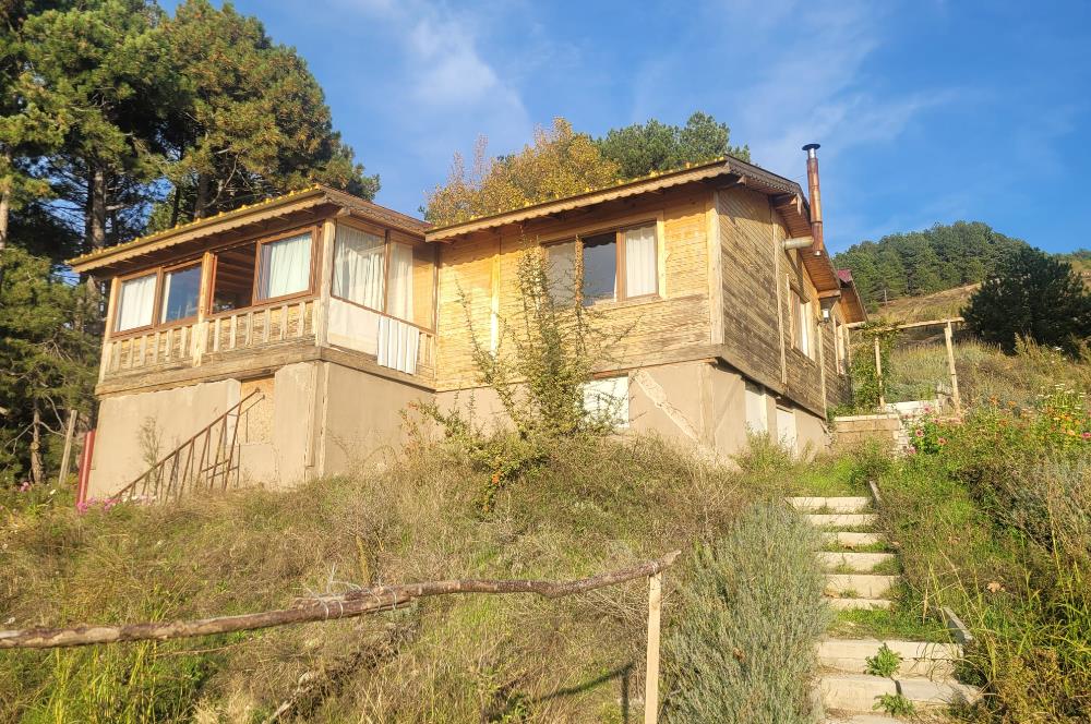 C21 BAL'DAN HAVRAN FAZLICA'DA SATILIK AHŞAP EV ve 8 DÖNÜMTARLASI