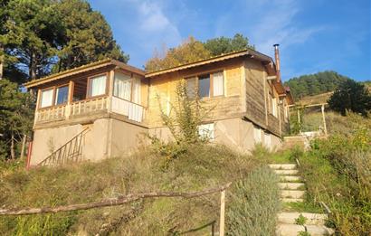 C21 BAL'DAN HAVRAN FAZLICA'DA SATILIK AHŞAP EV ve 8 DÖNÜMTARLASI