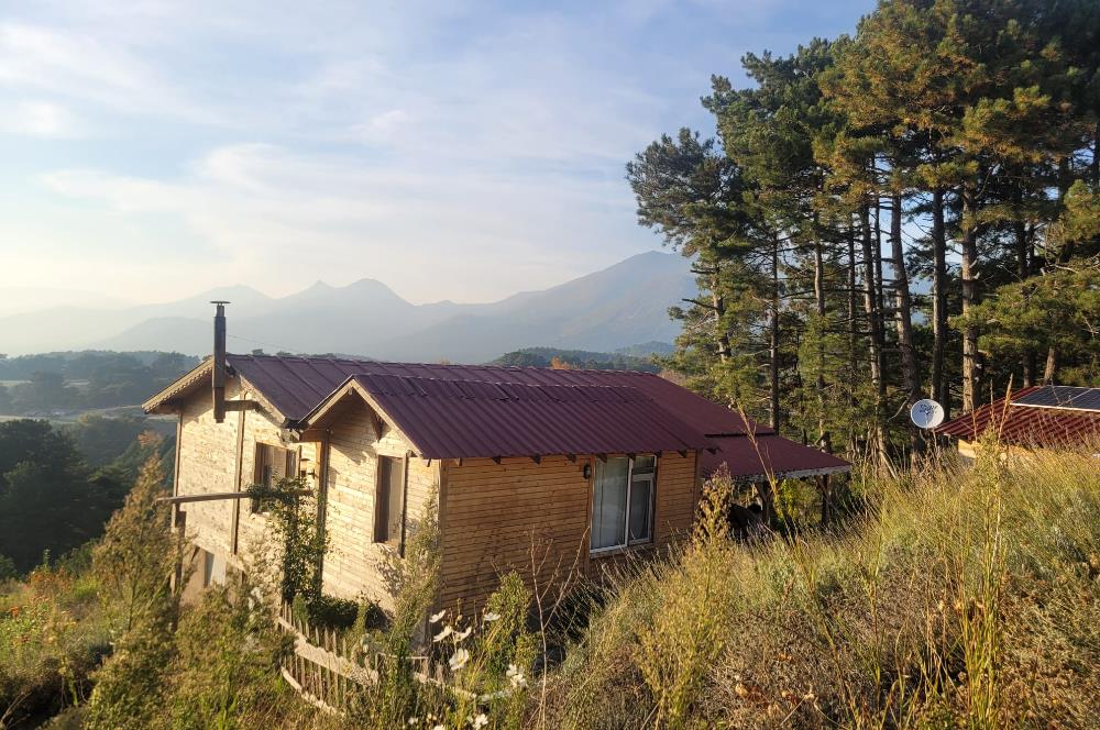 C21 BAL'DAN HAVRAN FAZLICA'DA SATILIK AHŞAP EV ve 8 DÖNÜMTARLASI